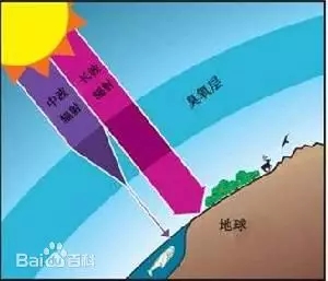 【乐竞体育】看不见的污染 | 你的臭氧污染小科普请查收