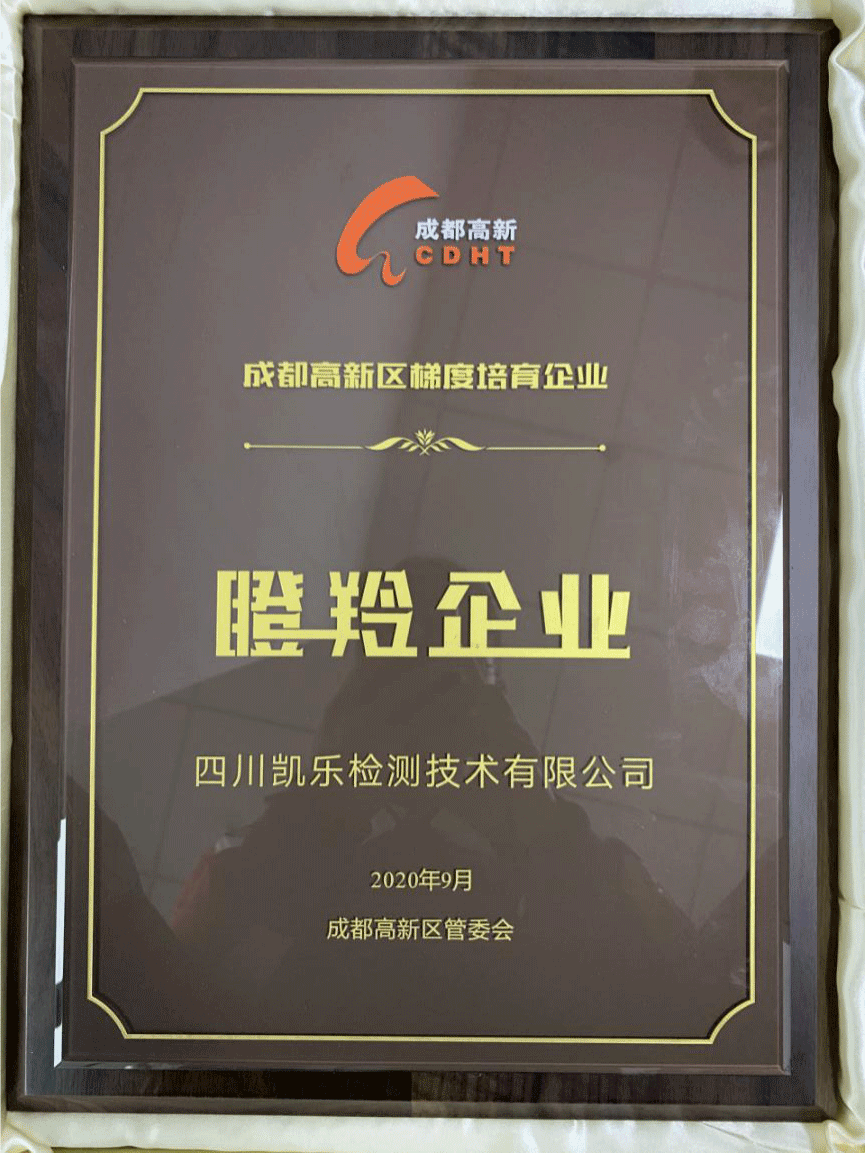 【喜讯】热烈祝贺乐竞体育被成都高新区管委会评为“瞪羚企业”。